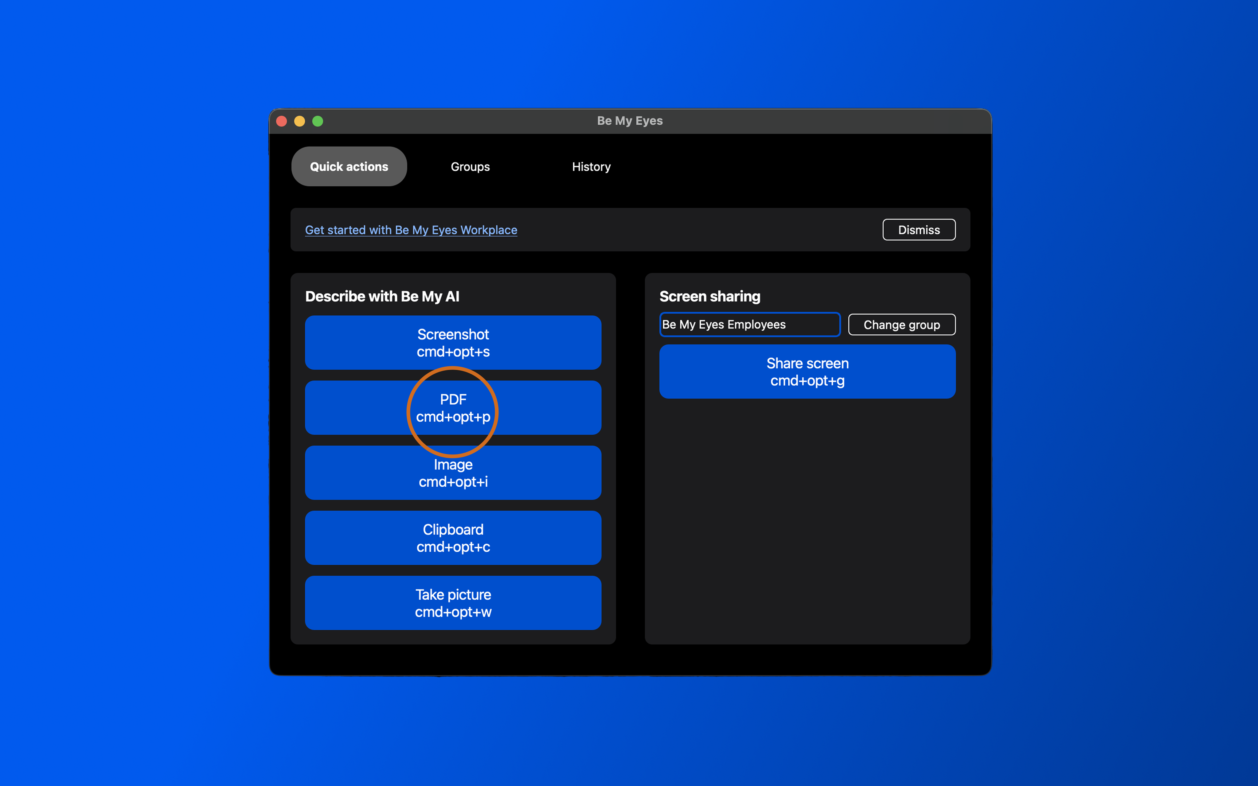 A screenshot of the Be My Eyes desktop app interface. On the left side, under the "Describe with Be My Eyes" section, a button labeled "PDF" is highlighted by an orange circle.